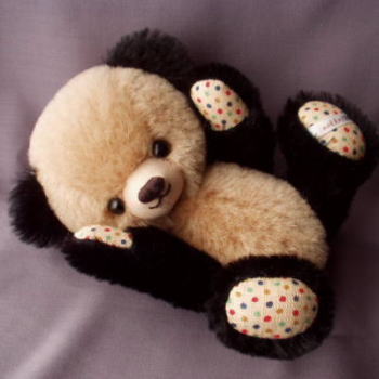 �͂��߂܂��āI