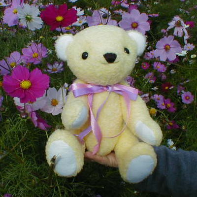 �Y��ȃR�X���X��