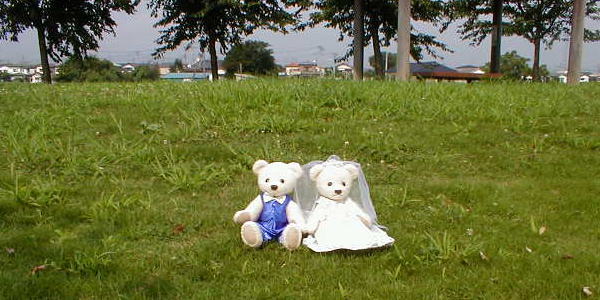 ���邢���z���P���Ă����